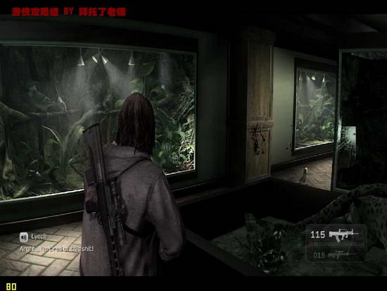 《凯恩与林奇2：伏天》图文流程攻略|Kane & Lynch 2: Dog Days