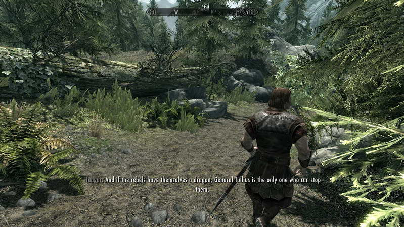 《上古卷轴5：天际》图文攻略|The Elder Scrolls 5: Skyrim