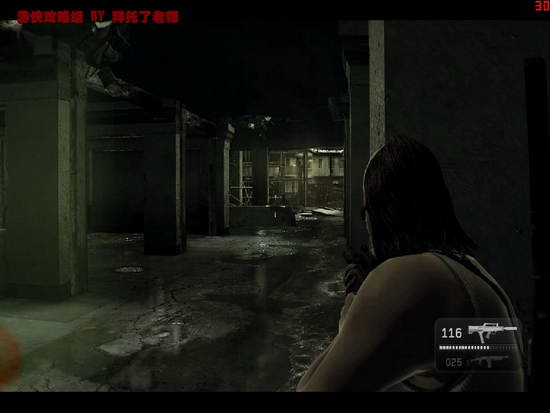 《凯恩与林奇2：伏天》图文流程攻略|Kane & Lynch 2: Dog Days